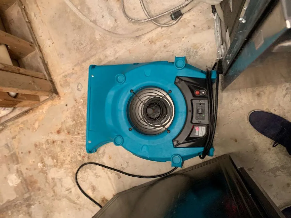 Air mover drying equipment for Mold Remediation & Removal in Jonesboro